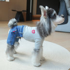 pet dog Clothes Fall Winter Collection Small Dogs Teddy Bichon Pomeranian One Piece