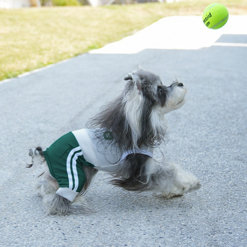 2026 Spring Summer New dog Clothes Mesh Breathable pet Clothes Tennis Sports Four Leg Base Layer