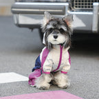 Four Season Waterproof Outdoor Charging Jacket Teddy Schnauzer dog Raincoat