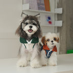pet Fall Winter Solid Color Cotton Jacket Color Block Lapel Leash-friendly dog Versatile dog Clothes Wholesale