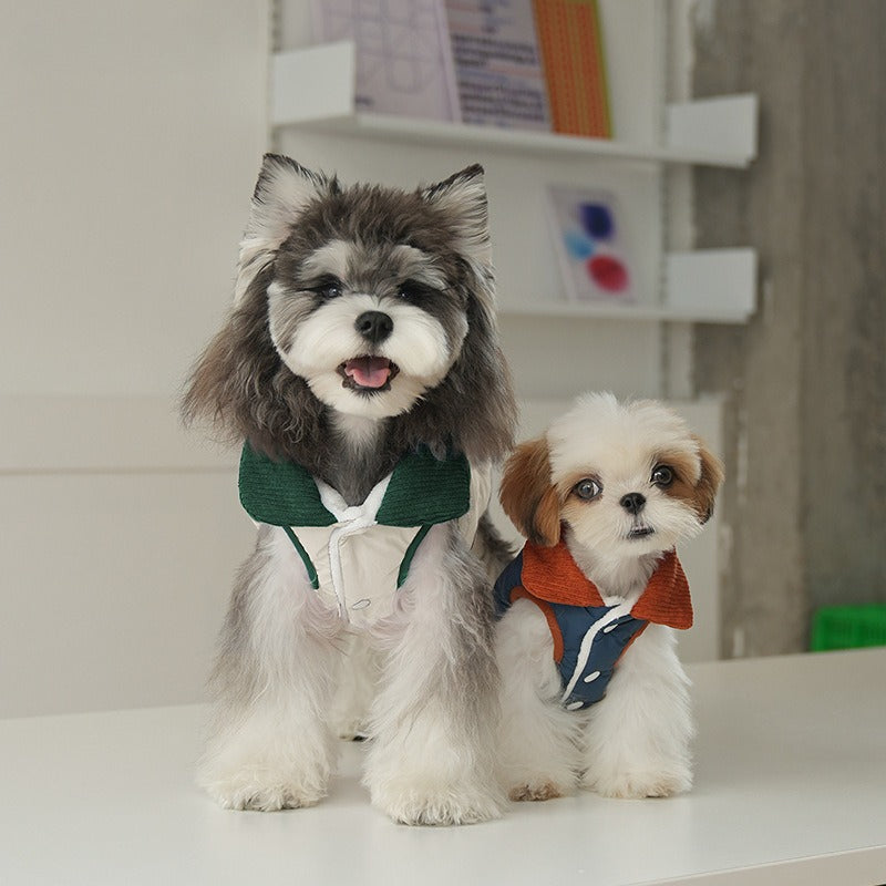 pet Fall Winter Solid Color Cotton Jacket Color Block Lapel Leash-friendly dog Versatile dog Clothes Wholesale