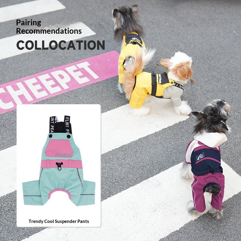 Four Season Waterproof Outdoor Charging Jacket Teddy Schnauzer dog Raincoat