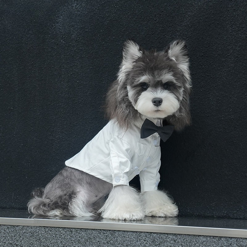 pet Four Season Shirt Schnauzer Maltese dog Festival Lapel Two Leg