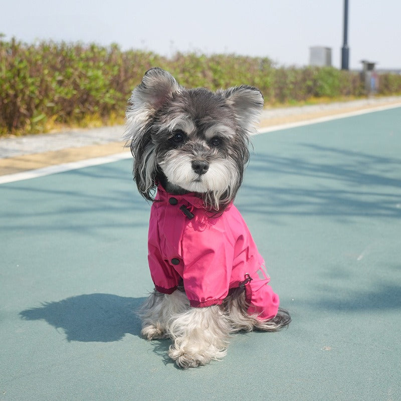 Cross-border pet Outdoor Waterproof Raincoat Small dog Walking Charging Jacket