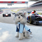 Spring & Summer Two-Leg Dog Sportswear – Lightweight Color-Block Apparel