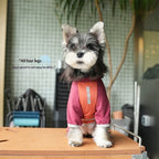Cool Touch dog Summer Lightweight Fun pet Bichon Schnauzer Wholesale Breathable