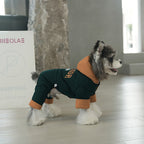dog Clothes Fall Winter Color Match Hooded Windbreaker Teddy Schnauzer Warm Four Leg Cotton Jacket
