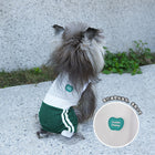 Spring & Summer Mesh Dog Base Layer – Breathable Tennis-Inspired Apparel
