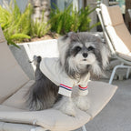 pet College Style Small to Medium Dogs Jkoutdoor