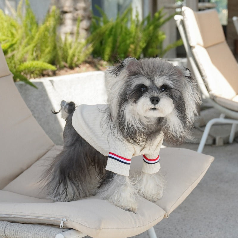 pet College Style Small to Medium Dogs Jkoutdoor