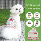 pet Bichon dog Clothes Lightweight Spring Summer Two Leg Small to Medium Dogs Teddy dog Clothes Wholesale