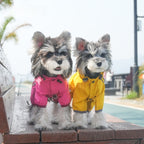 dog Raincoat Outdoor Waterproof Bichon Pomeranian Small to Medium Dogs pet Clothes Wholesale