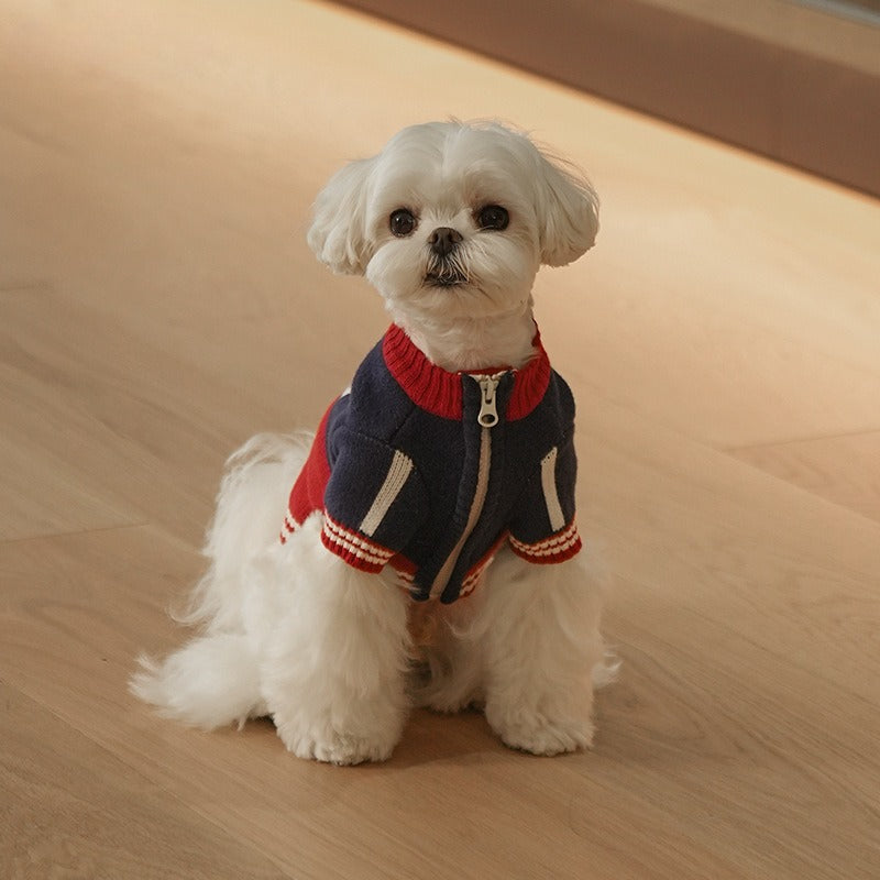 Autumn Winter Warm Zipper Knitwear Two-leg Small dog Sweater Factory