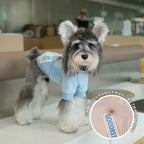 pet Fall Winter Two Leg Hoodie Teddy Maltese Warm Puppy Clothes