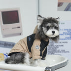 dog Clothes Fall Winter Warm Outdoor Windbreaker Schnauzer Teddy Hooded Leash-friendly pet Clothes Wholesale