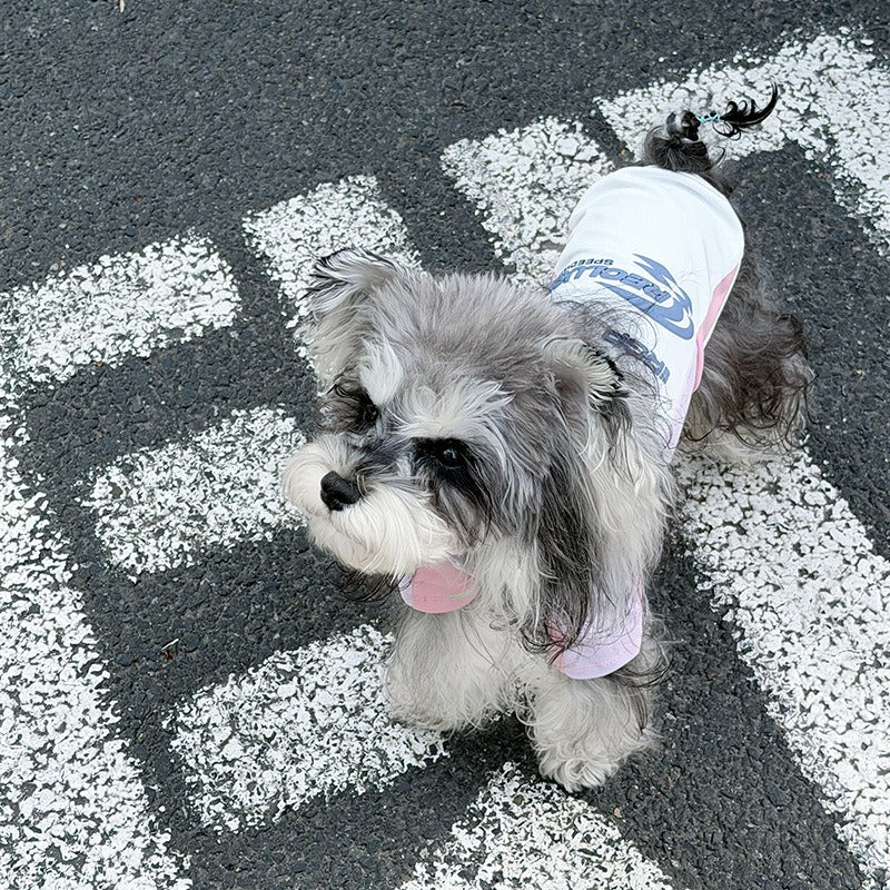 Spring Summer Maltese Teddy dog Clothes Two Leg Color Match Sportswear pet