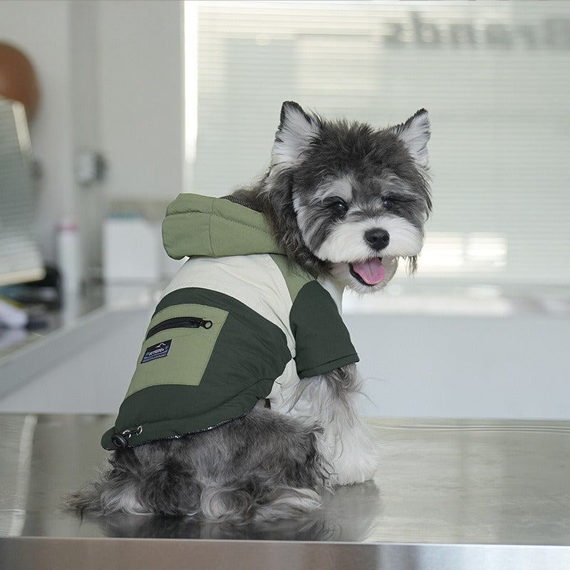 pet Fall Winter Color Match Hooded Windbreaker Leash-friendly Windproof Two Leg dog Clothes Wholesale