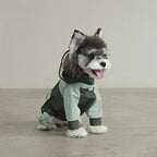 pet Raincoat dog Raincoat Four Season Hooded pet Windbreaker Waterproof Windproof Raincoat