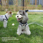 2026 New Fun pet Clothes dog Summer Lightweight Soccer Small to Medium Dogs Sportswear Dachshund