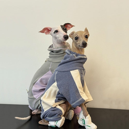 dog Clothes Fall Winter Thickened Warm Simple Four Leg Base Layer