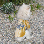 Inspet Clothes Spring Summer Lightweight Breathable Teddy Bichon Schnauzer dog Clothes dog Clothes