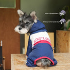 dog Spring Summer Raincoat Color Block Four Leg Walking Teddy Schnauzer Small to Medium Dogs Wholesale