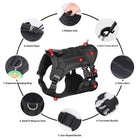 Outdoor Dog Harness Vest – Lightweight Leash Walking Gear