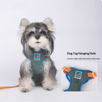 New dog Harness Color Block dog Harness Large Dogs Breathable dog Leash Wholesale