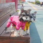 Cross-border pet Outdoor Waterproof Raincoat Small dog Walking Charging Jacket