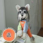 pet Clothing Fall Winter Color Match Four Leg Warm Undershirt Bichon Schnauzer Inner Wear