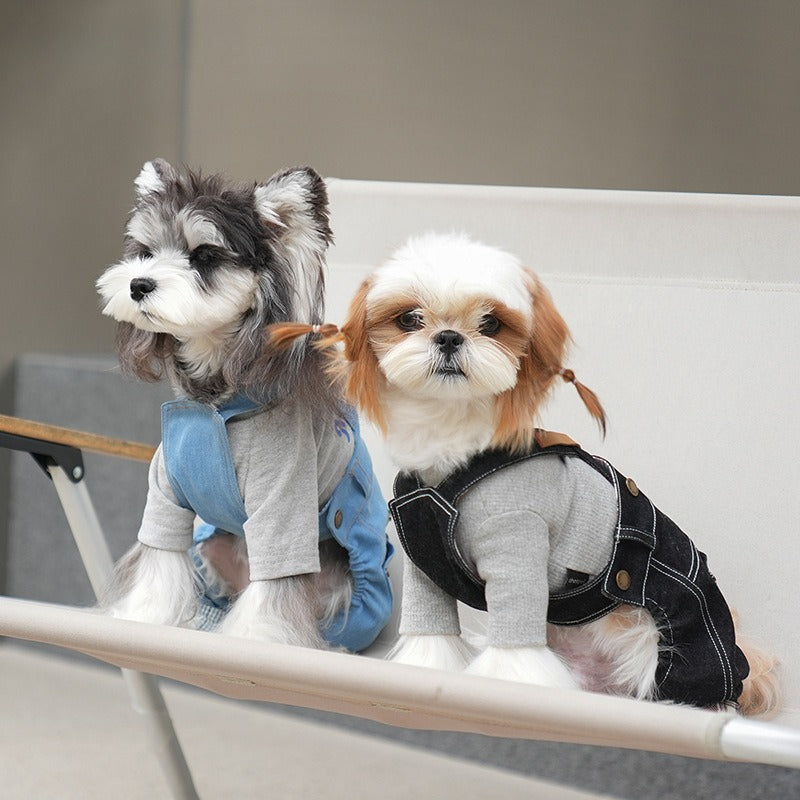 pet Clothes Spring Summer Teddy Schnauzer Small Dogs dog