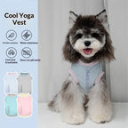dog Spring Summer Cool Touch Color Match Breathable Bichon Schnauzer dog Wholesale