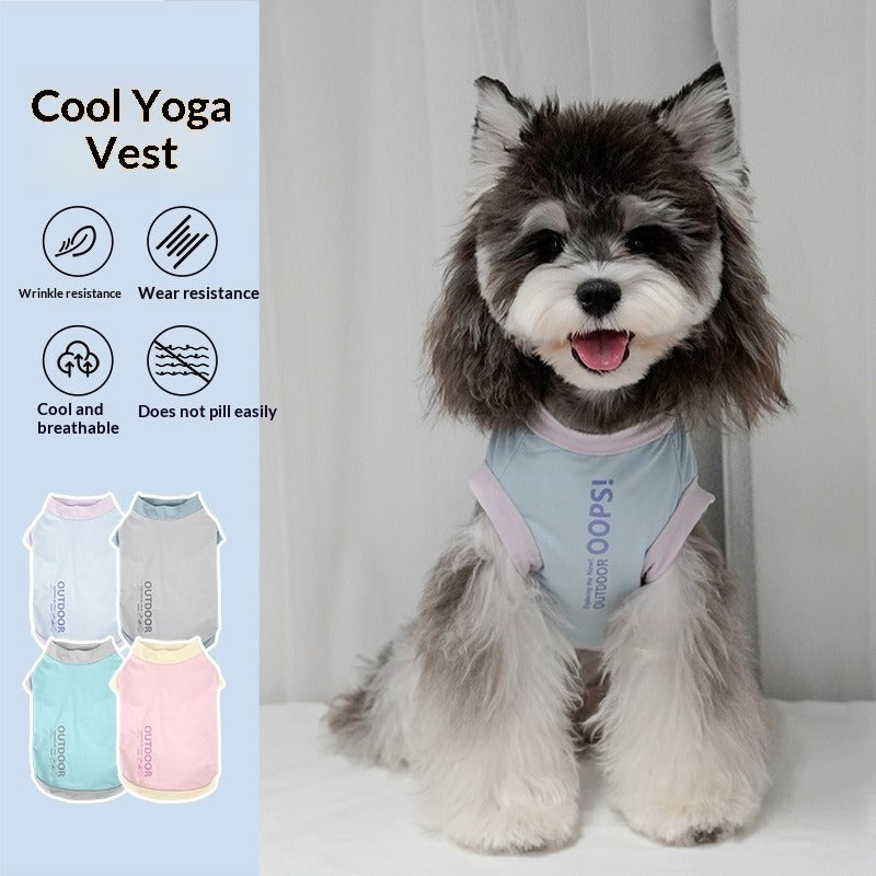 dog Spring Summer Cool Touch Color Match Breathable Bichon Schnauzer dog Wholesale