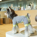 Striped Casual Four Leg Base Layer Small Dogs pet Clothing Schnauzer dog Clothes Fall Winter Collection