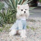 Inspet Clothes Spring Summer Lightweight Breathable Teddy Bichon Schnauzer dog Clothes dog Clothes