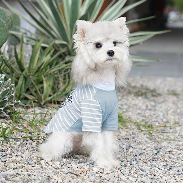 Spring & Summer Striped Dog Vest – Lightweight Breathable Apparel