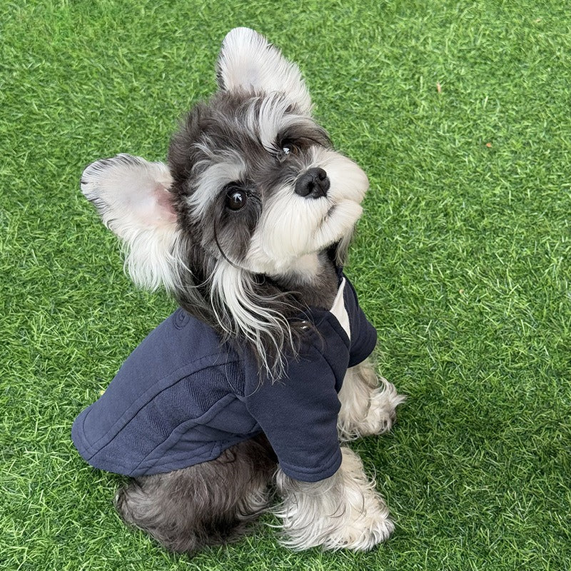 dog Clothes Spring Summer Solid Color Two Leg dog Schnauzer Luhoodie Outdoor pet