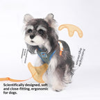 New dog Harness Color Block dog Harness Large Dogs Breathable dog Leash Wholesale