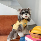 pet Fall Winter Two Leg Sleeveless Sweater dog Clothes Cute Color Block Warm