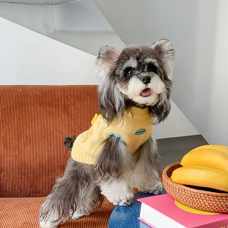 pet Fall Winter Two Leg Sleeveless Sweater dog Clothes Cute Color Block Warm