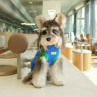 Fall & Winter Knitted Dog Sweater – Warm Small-Dog Apparel
