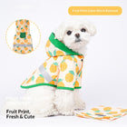 Lightweight Puppy Raincoat – Waterproof Summer Jacket