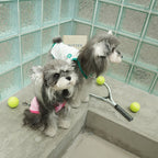 pet Tennis Vest Summer Lightweight dog Breathable T-shirt Small to Medium Dogs