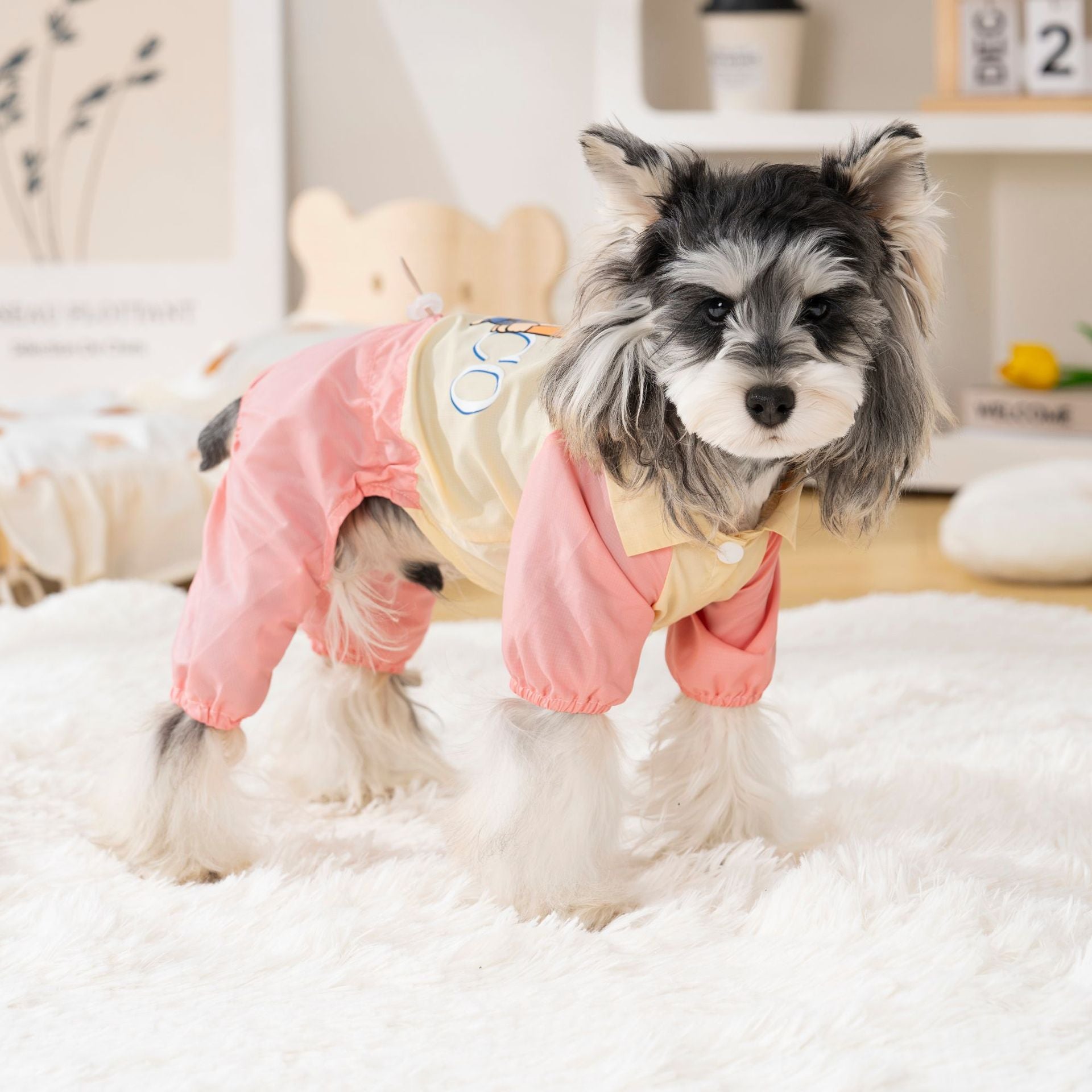 Pet clothing waterproof pet clothing cat dog clothing four-legged clothing spring and summer new arrival 26 baseball bear four-legged