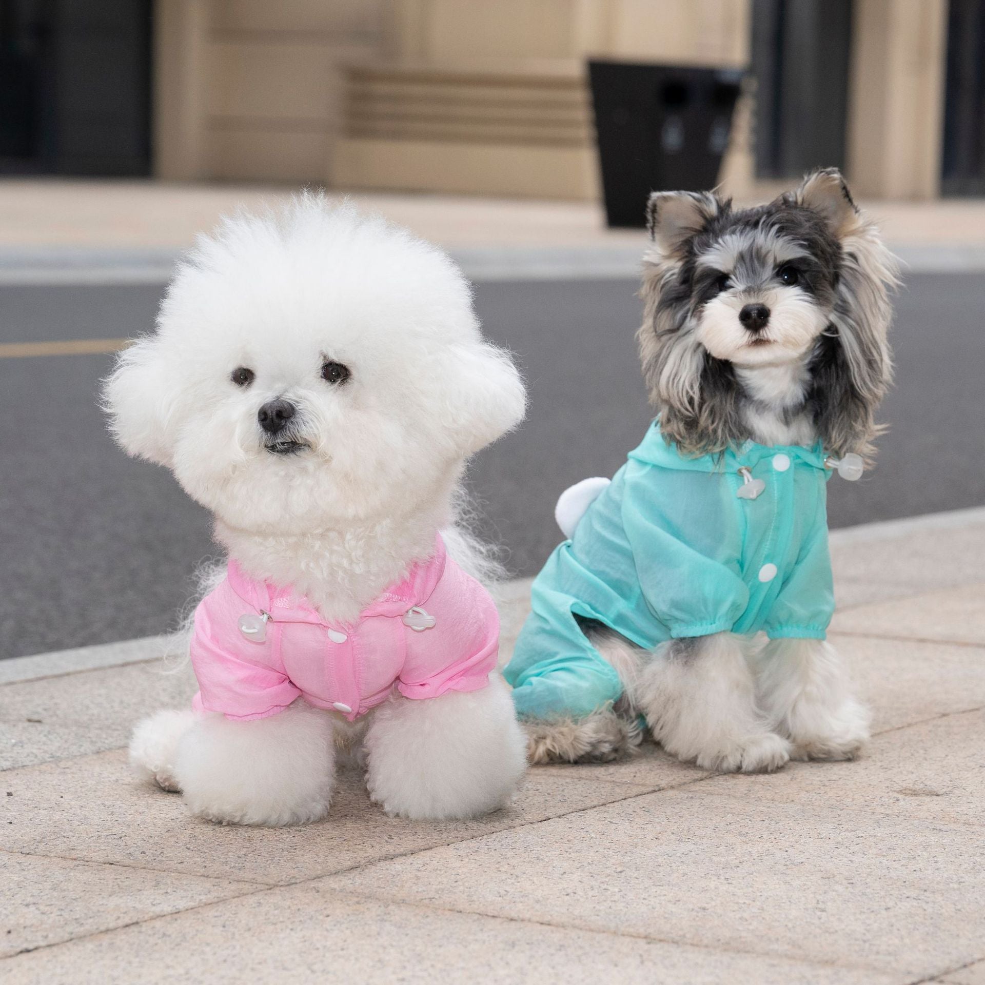 Pet apparel waterproof pet clothes dog clothes four-legged suit spring/summer new 1.3kg color hooded skin suit