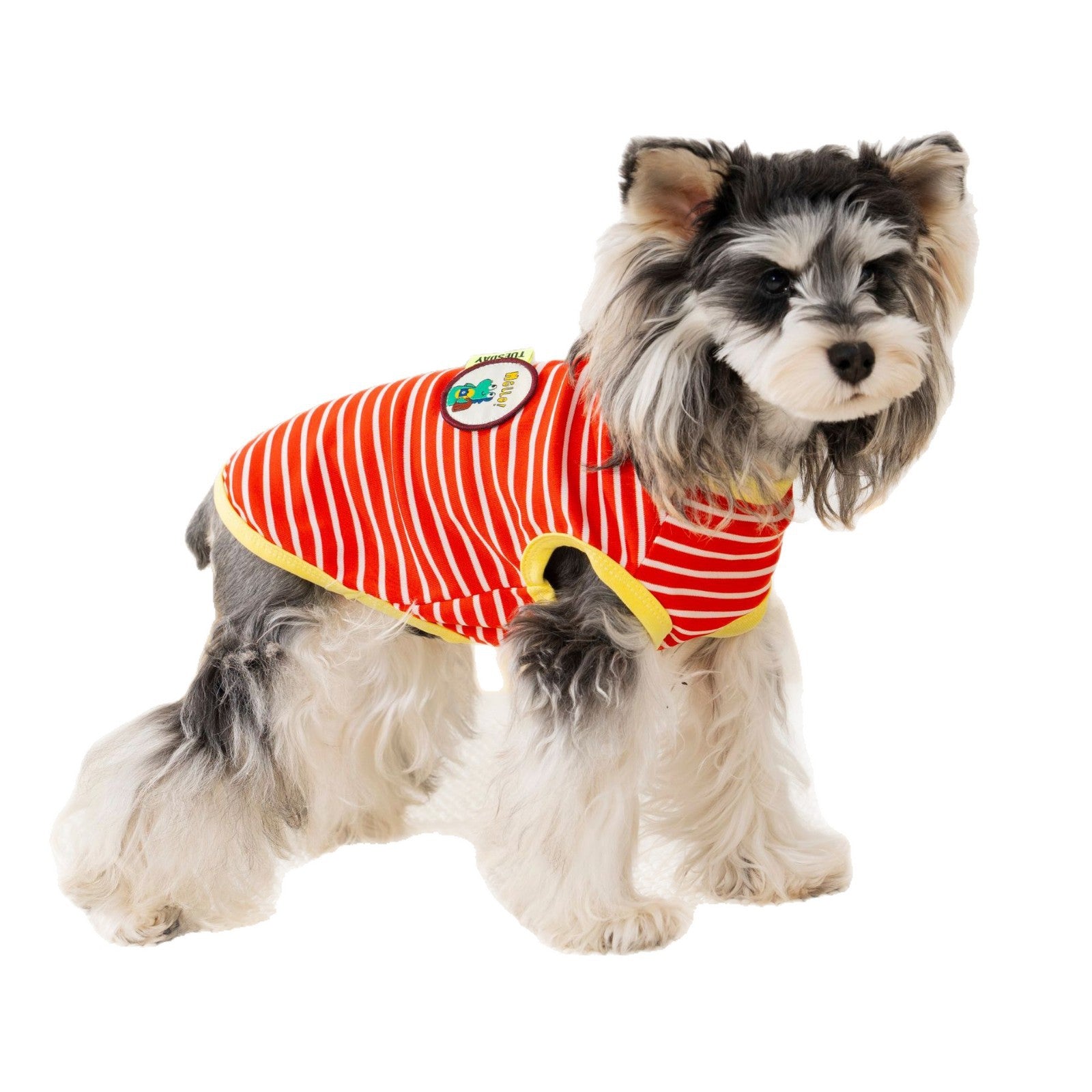 Pet clothes dog cat clothes pet apparel spring/summer new pet vest 26 dinosaur logo striped vest
