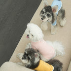 Factory Direct pet Fall Winter Undershirt Teddy Bichon Schnauzer Versatile Solid Color dog Clothes Wholesale