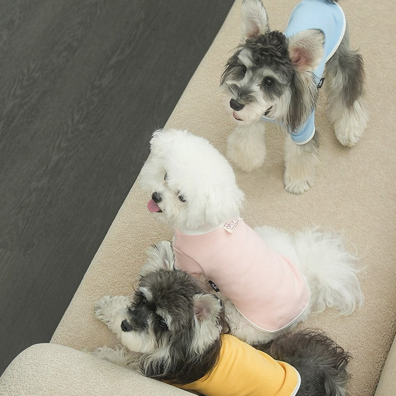 Factory Direct pet Fall Winter Undershirt Teddy Bichon Schnauzer Versatile Solid Color dog Clothes Wholesale