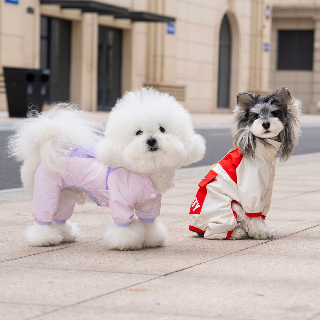 Spring and summer clothes, four-legged thin style, new style jacket, teddy schnauzer spring clothes, 26 cool wind flap pocket pants, four legs