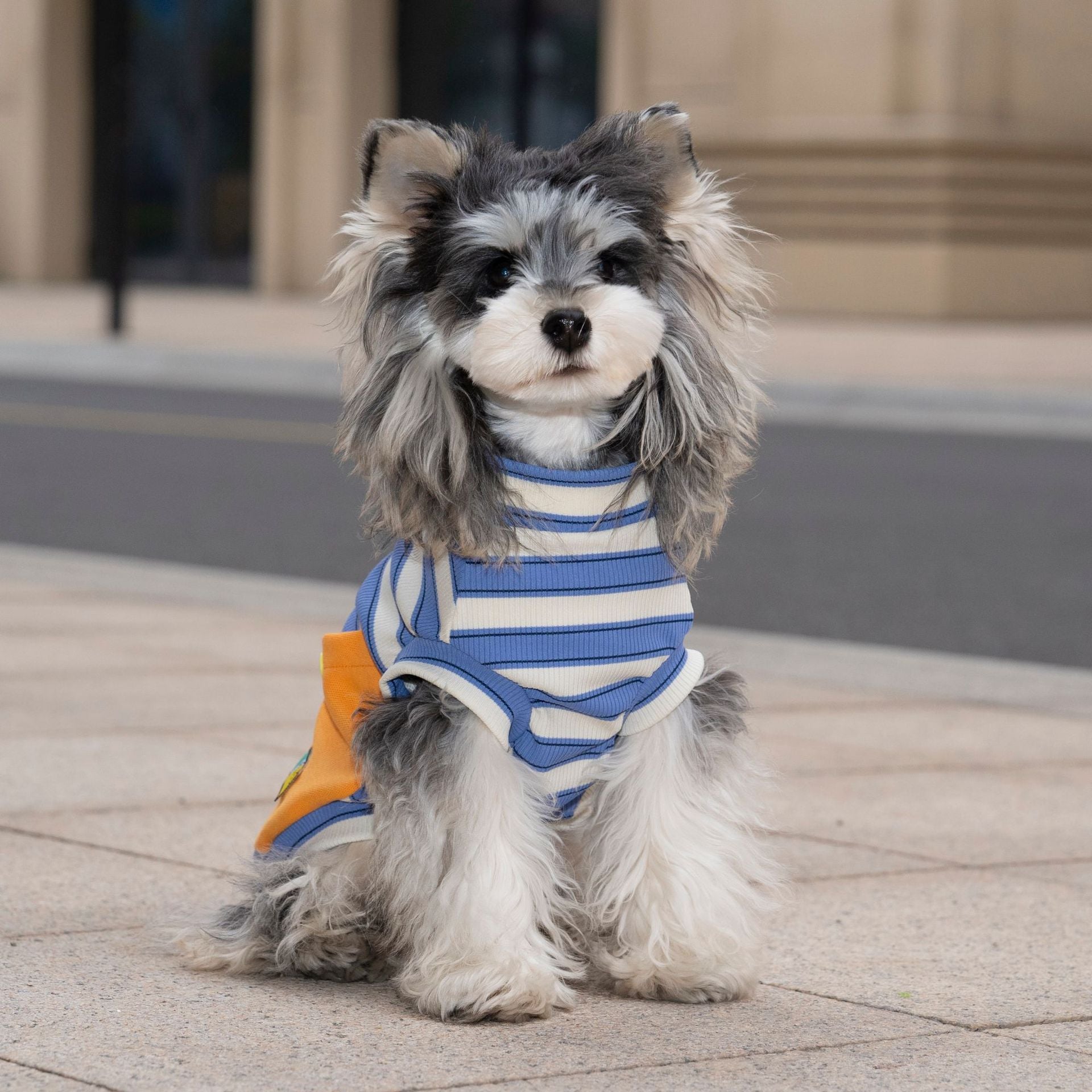 Cross-border new arrival amazon korean pet clothes fashiontrendy puppy clothes summer thin breathable t-shirt